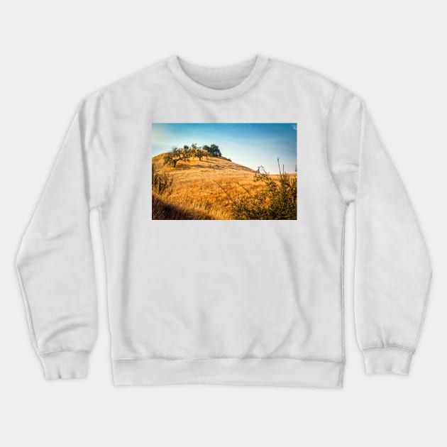 Savanna Oaks, California Crewneck Sweatshirt by Robert Alsop